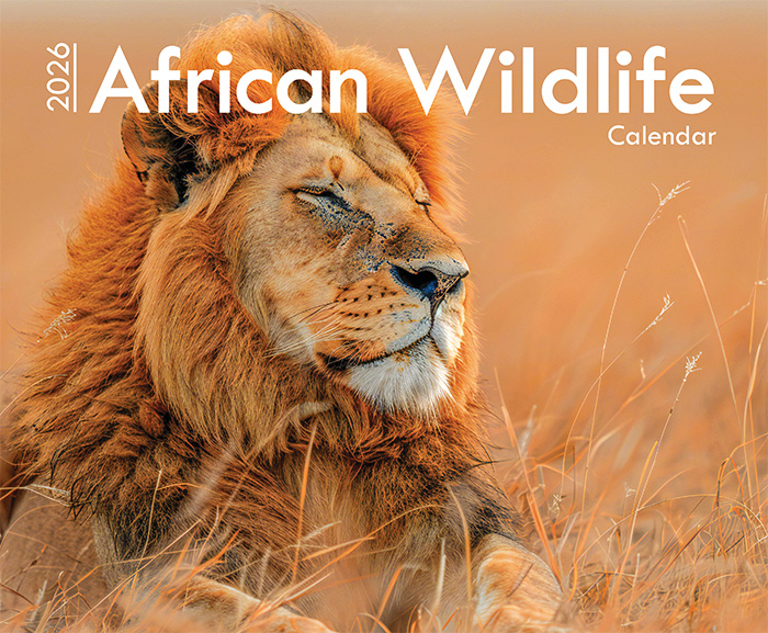 African Wildlife A4 Wall Calendar 2026