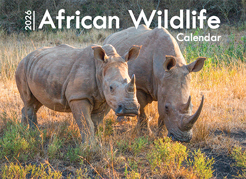 African Wildlife A5 Wall Calendar 2026