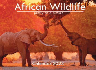 A6_African-Wildlife_Front-Cover_2023