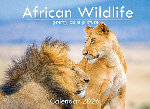African Wildlife A6 Wall Calendar 2026