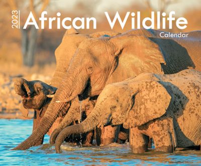 AA42023_Africa-Wildlife_Front-Cover