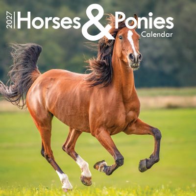 Horses & Ponies A4 Wall Calendar 2027