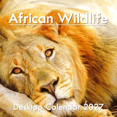 African Wildlife Desktop Calendar 2027