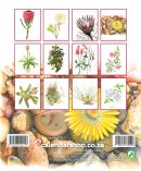 Botanical_Artists-2023_Back_Cover