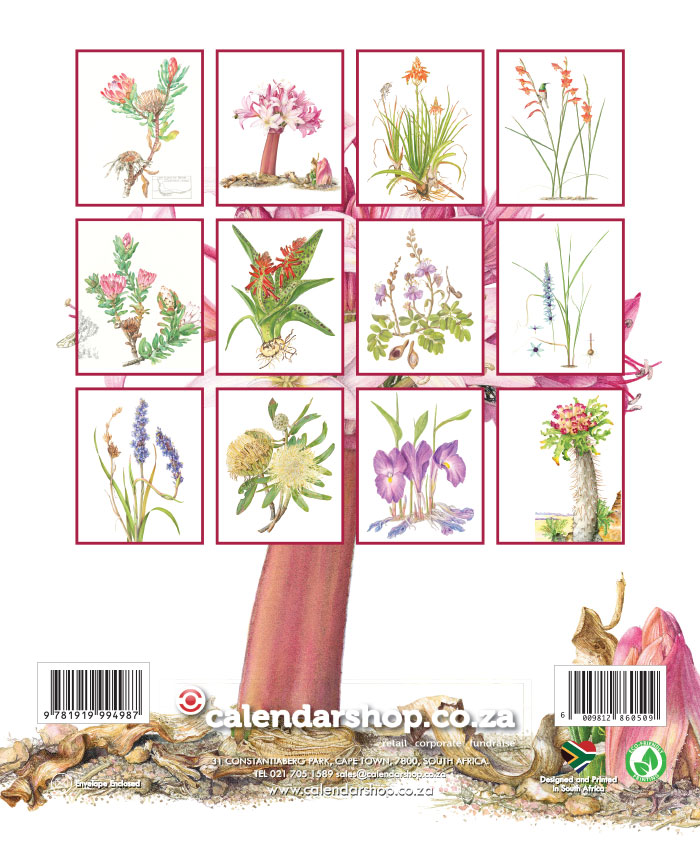 Botanical Art A4 Wall Calendar 2024 Calendar Shop