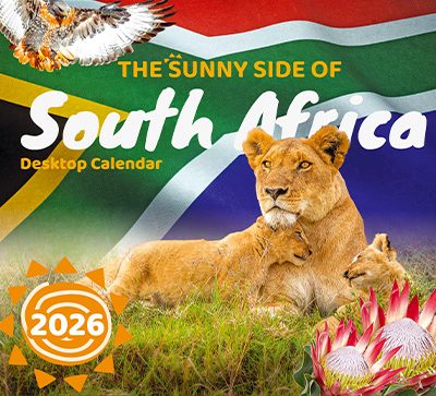 The Sunny Side of SA Desktop Boxed Calendar 2026