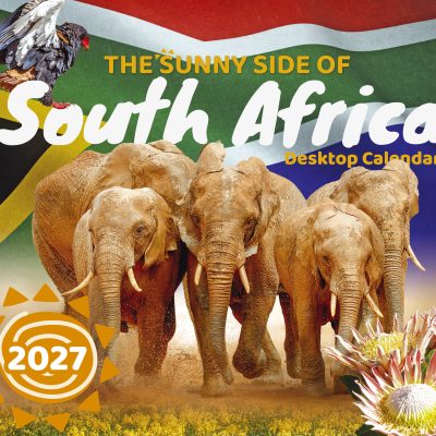 The Sunny Side of SA Desktop Boxed Calendar 2027